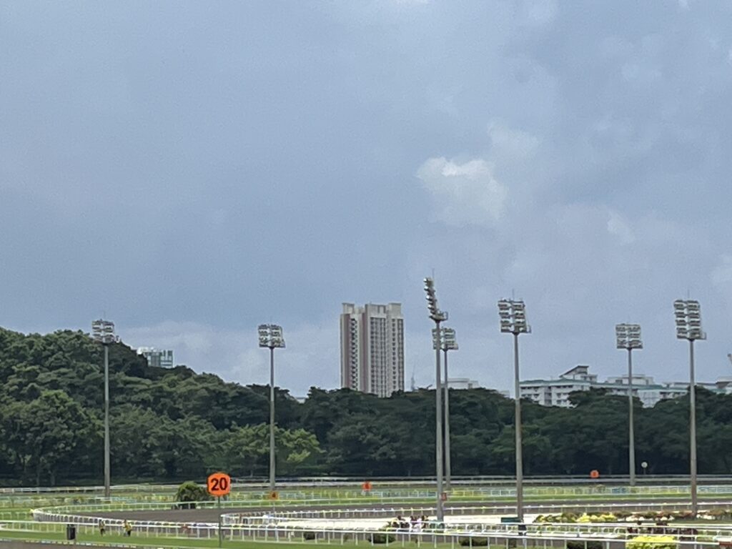 クランジ競馬場4