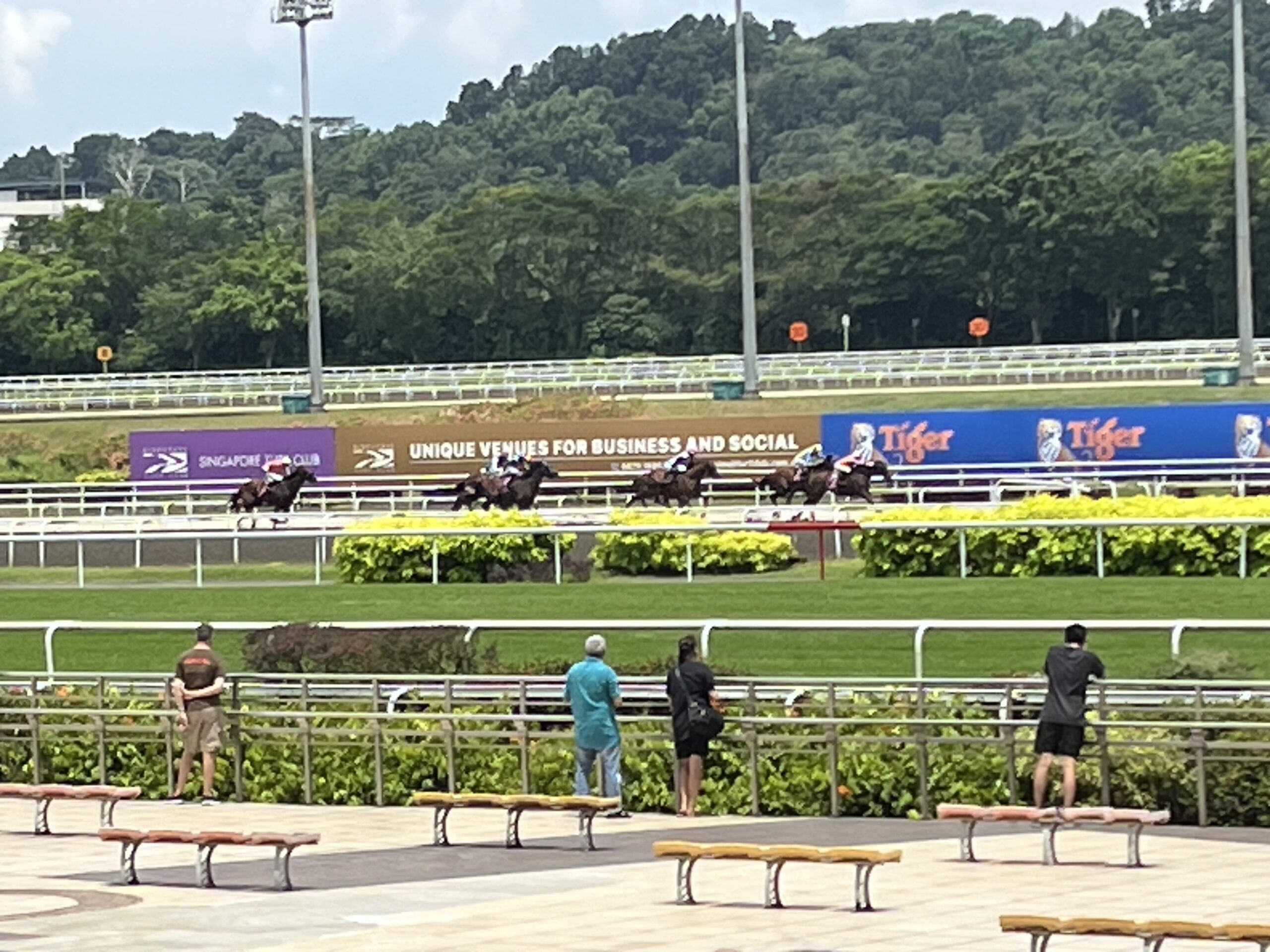 クランジ競馬場6