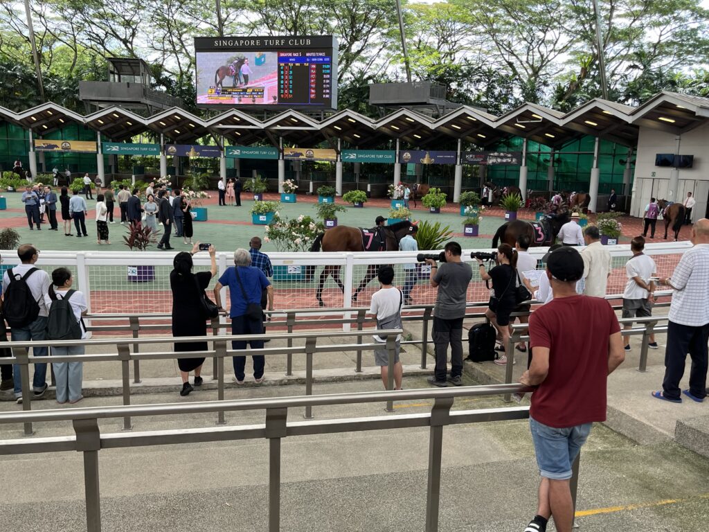 クランジ競馬場5